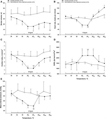 Enhanced Blood Clotting After Rewarming From Experimental Hypothermia in an Intact Porcine Model